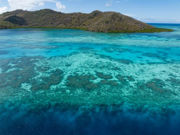 Healthy Coral Reef Thrives Pulau Besar North Flores Indonesia Region — Stock Photo, Image