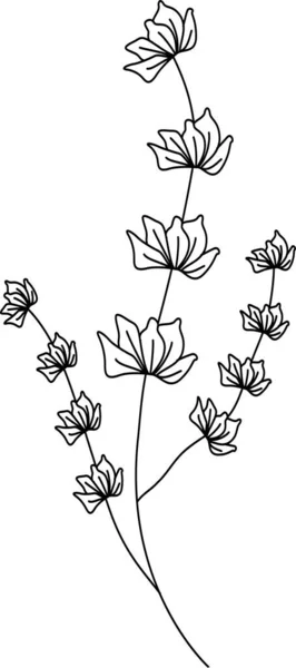 Ręcznie Rysowane Doodle Floral Zapisz Karty Daty Linthe Bohemian Onecolor — Zdjęcie stockowe
