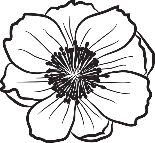 Handgezeichnetes Doodle Floral Date Cards Lineart Bohemian Onecolor Rustikaler Jahrgang — Stockfoto