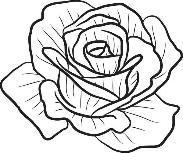 Ręcznie Rysowane Linthe Floral Zapisz Karty Daty Rysować Onecolor Rustykalny — Zdjęcie stockowe