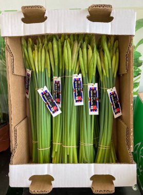 Dükkandaki bir paket kutusunda kesilmiş nergisler..