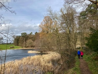 Orman gölü manzarası ve yürüyen insanlar