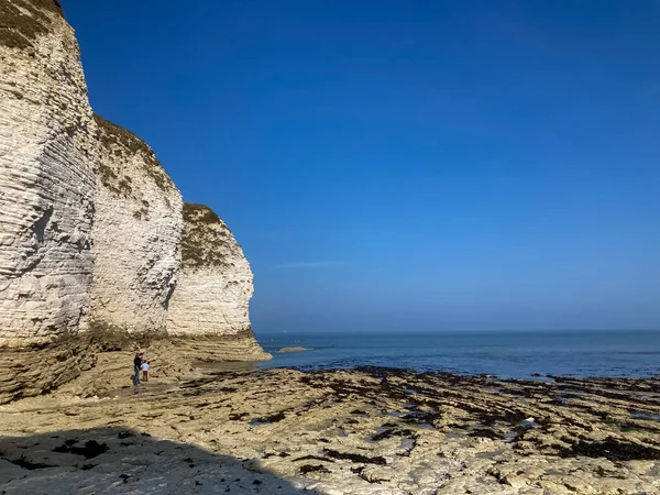 Deniz manzarası, beyaz kayalıklar, alçak gelgit sırasında deniz dibi.