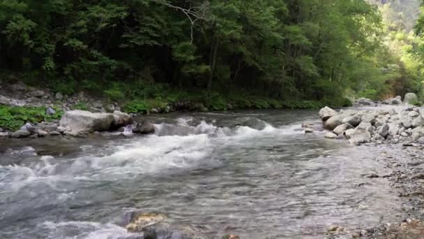 Lao River Flows Calabria Basilicata Italy Part Pollino Nature Reserve — Vídeos de Stock