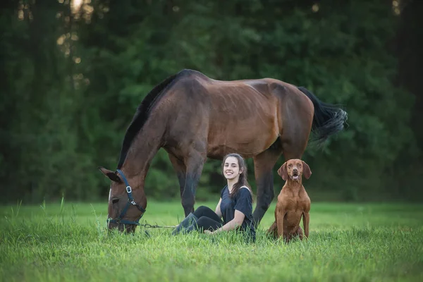 Nettes Junges Mädchen Sitzt Auf Dem Gras Neben Ihrem Lieblings — Stockfoto