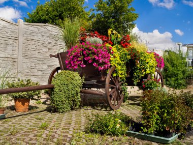 Dekoratif çiçek yatakları ve güneşli bir günde renkli bahçeler..