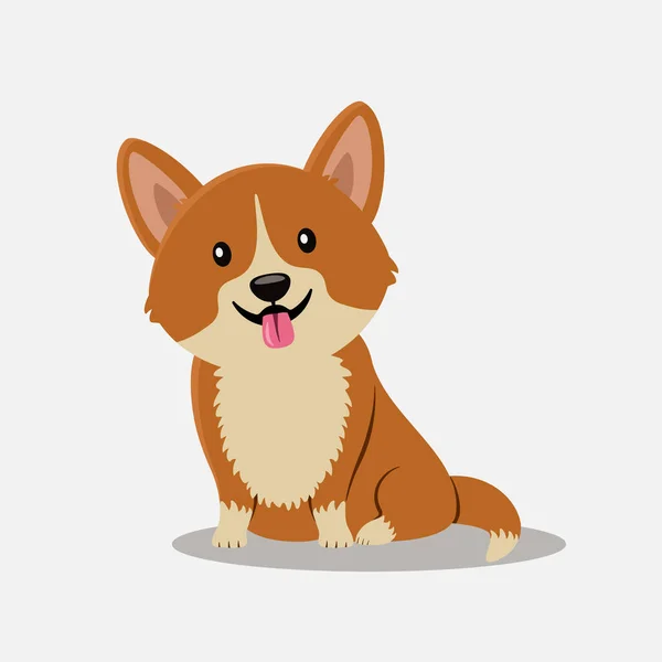 Şirin Corgi köpeği. Renkli vektör illüstrasyon çizgi film tarzı. Beyaz izole arkaplan.