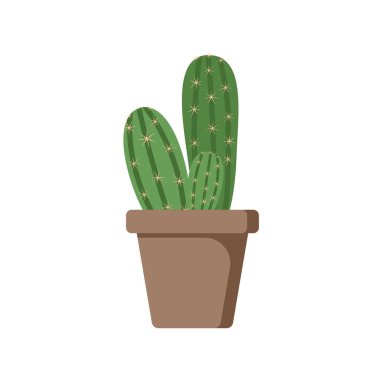 Saksı bitkisi bir kaktüstür. Renk vektörü çizimi düz stil. Beyaz izole arkaplan.