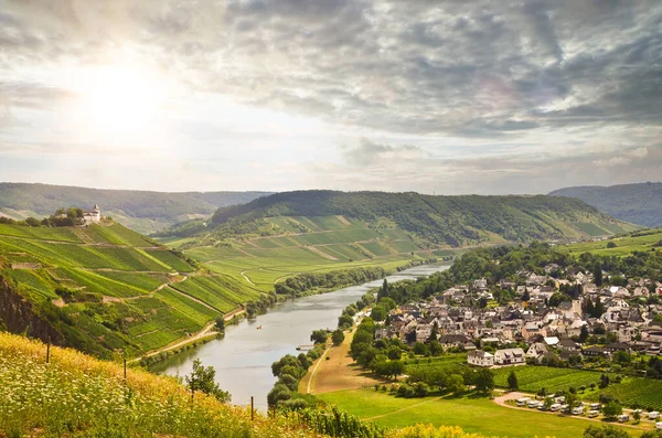 Utsikt Til Elvene Moselle Marienburg Nær Landsbyen Puenderich Mosel Vinregion – stockfoto