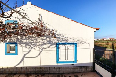 Rota Vicentina 'da küçük bir köyde geleneksel bir Portekiz evi - baharın başlarında bir yerleşim yeri, Alentejo Portekiz Avrupa