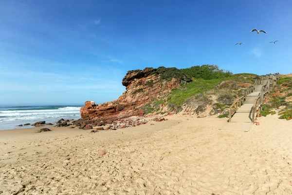 位于葡萄牙Costa Vicentina Algarve Sagres和Lagos附近的Praia Amado 海滩和冲浪胜地 — 图库照片