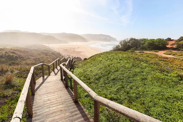 位于葡萄牙Costa Vicentina Algarve Sagres和Lagos附近的Praia Amado 海滩和冲浪胜地 — 图库照片