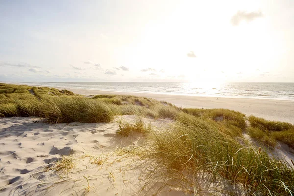 Вид Красивый Пейзаж Пляжем Песчаными Дюнами Вблизи Хенне Озил Ландшафт — стоковое фото