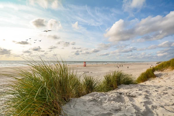 Pohled Krásnou Krajinu Plážovými Písečnými Dunami Blízkosti Henne Strand Severní — Stock fotografie