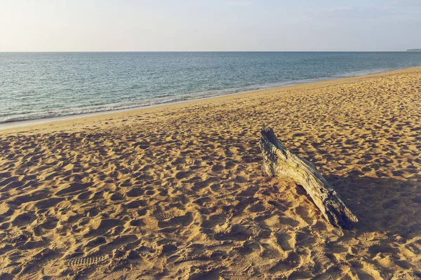 Log Het Zandstrand Bij Schemering Phuket Eiland Thailand — Stockfoto