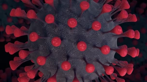 Primer Plano Del Patógeno Coronavirus Covid 2019 Ncov — Vídeo de stock