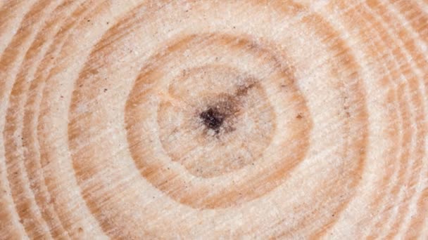 Drewniana Powierzchnia Cięcia Drzew Organicznymi Pierścieniami Film Pętelkowy — Wideo stockowe