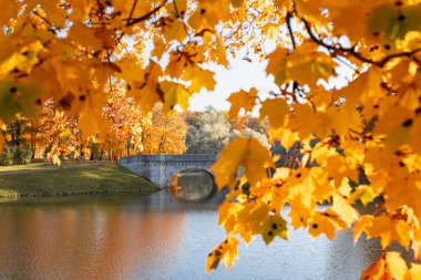 Rus parkının sonbahar akşamı manzarası