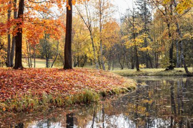 Rus parkının sonbahar akşamı manzarası