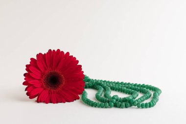 Beyaz üzerinde farklı nesneler olan kırmızı gebera çiçeği