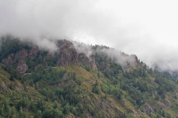 Felsige Berge im Nebel. — Stockfoto