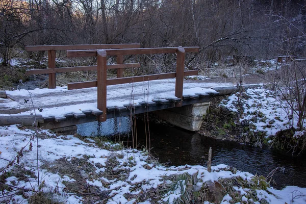 Eine kleine Brücke im Wald über den Fluss. — Stockfoto