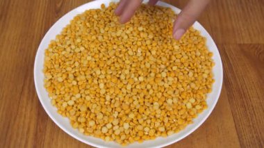 Avuçlarında bezelye parçalarını kontrol eden bir kadın - popüler Hint baklagilleri. Sarı Channa Dal beyaz seramik tabakta bir yığın içinde saklandı - daha iyi bağışıklık, hastalık önleme, kilo verme