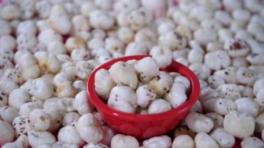 Bir yığın sade beyaz tilki fındığı ve nilüfer tohumları bir araya toplanmış. Lezzetli bir atıştırmalık. Gordon Euryale tohumları / Makhana kırmızı plastik bir kaseye düşüyor - yüksek antioksidan, kan şekerini dengelemek, kilo kaybı, kalp sağlığı