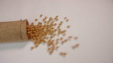 Hintli bir baklava yığını içinde kahverengi nohut düşüyor / düşüyor. Çiğ pişmemiş Kabuli Channa / Chole beyaz bir masanın üzerine dağılmış.