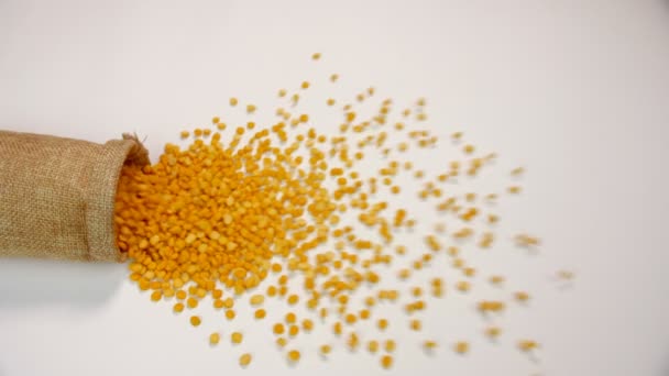 Lentilhas Amarelas Ricas Proteínas Caindo Saco Juta Marrom Pulsos Indianos — Vídeo de Stock