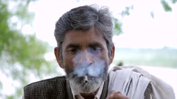 Velho Fumando Beedi Forma Local Uma Folha Charuto Cheia Tabaco — Vídeo de Stock