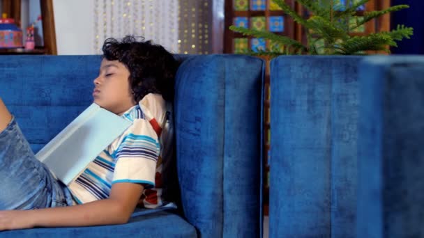 クッションの上に彼の頭と快適なソファの上で眠る甘い疲れた少年 彼の膝の上の本 退屈なレッスン — ストック動画