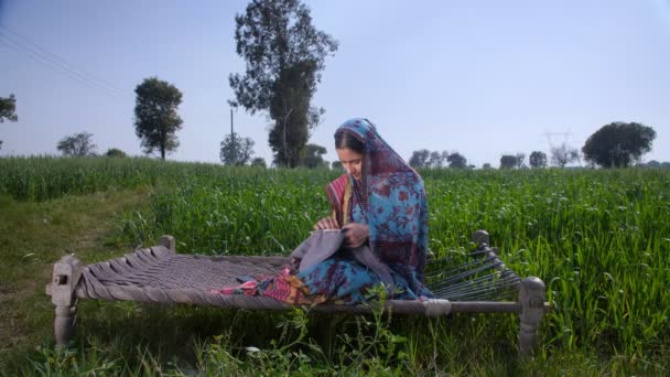伝統的なソーレの女性農家木製のフレームを使用して手刺繍を行う 工芸品やスキル 働く主婦 彼女の農業分野に座っている間 カメラのためにポーズ魅力的な村の女性 インドの農業 — ストック動画