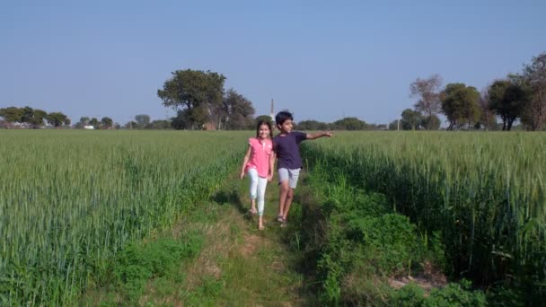 Happy Little Kids Enjoying Roaming Together Green Agricultural Field Togetherness — Stock Video