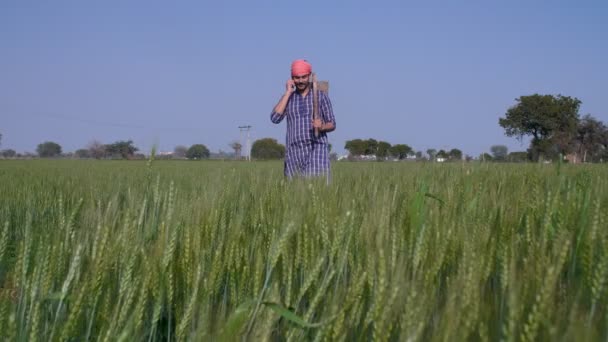Przystojny Brodaty Rolnik Szczęśliwie Rozmawiający Przez Komórkę Swojej Zielonej Farmie — Wideo stockowe