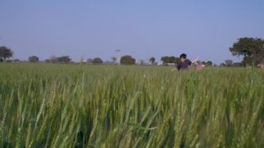 Köyden genç bir okul çocuğu tarım alanında uçurtmayla oynamaktan zevk alıyor. Makar Sankranti, uçurtma uçurtma yarışması. Yeşil tarlasında elinde uçurtmayla koşan bir çiftçinin sevimli oğlu. Mutlu bir çocukluk.