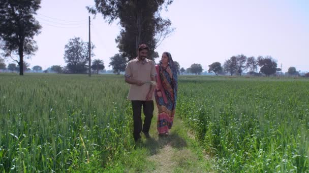 Traditional Village Couple Walking Rice Paddy Mustard Field Indian Agriculture — ストック動画