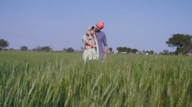 Çiftlik tarlalarında genç bir romantik köy çifti buğday tarlasında bir koca Hintli çiftçi çift, birliktelik ve yakınlık. Geleneksel bir köy çifti fotoğraf makinesi için poz veriyor. Hint köyü, yeşil tarım arazisi.