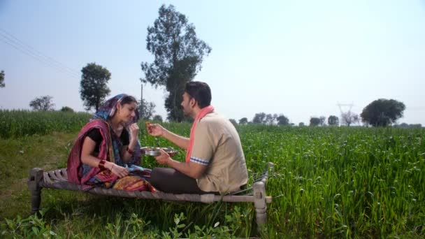 中年の村の夫は彼の美しい妻を養う インドの村のシーン おいしい食べ物 関係と結合 マスタード 田んぼでチャパイでリラックスしている陽気な夫婦 村のカップル 緑の農地 — ストック動画