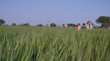 Neşeli bir köy ailesi tarımsal alanlarında birlikte oynamaktan zevk alıyor. Aile zamanı, aile bağı. Evli bir Hintli çiftçi ve çocukları boş zamanlarını yeşil tarlalarda geçiriyorlar. Hint köylüleri, kırsal kesimde yaşayan köylüler.