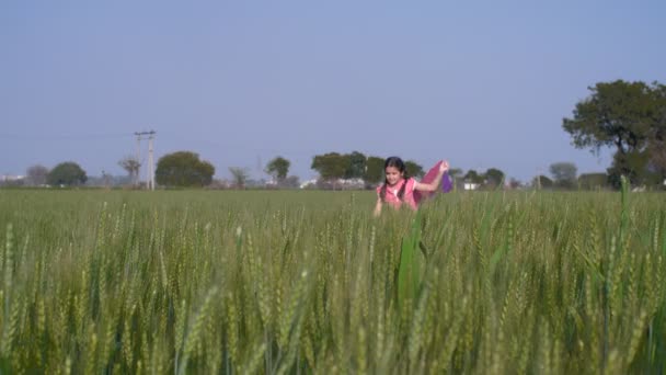 一名身穿印度村庄休闲装的小女孩带着风筝在一个绿色农场里奔跑 一只放风筝的小女生 Makar Sankranti 一个农民的女儿带着风筝在他们的农田里 快乐的童年 印第安村庄 — 图库视频影像
