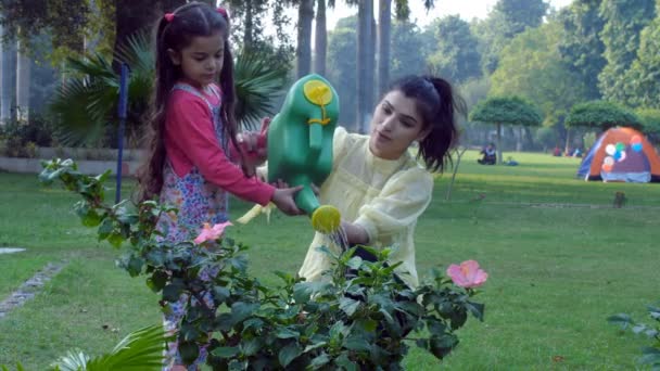 Seorang Wanita Cantik Dan Putri Kecilnya Menyiram Bunga Hibiscus Merah — Stok Video
