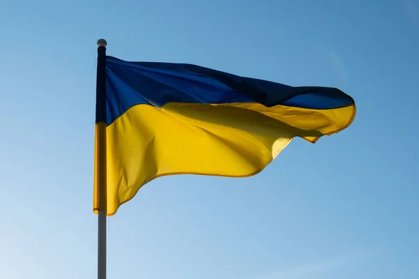Український Прапор Розмахує Вітром Сонячним Світлом Прапор України Синьому Тлі — стокове фото