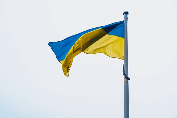 Flag Ukraine White Sky Background National Symbol Freedom Independence — стокове фото