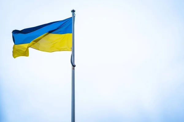 Flag Ukraine White Sky Background National Symbol Freedom Independence — стокове фото