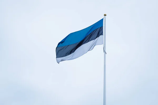 Vlag Van Estland Blauwe Achtergrond — Stockfoto