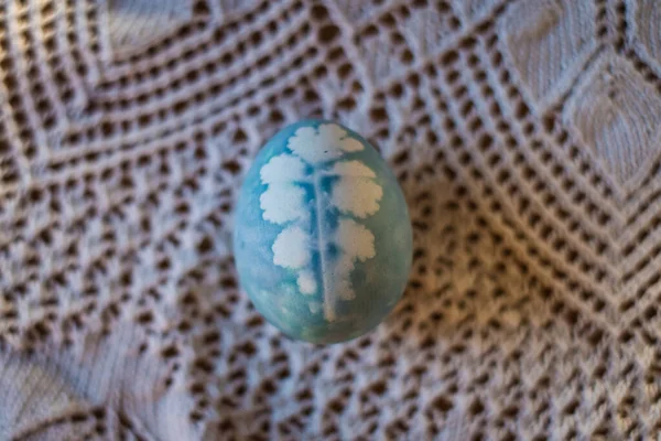 Easter Egg Painted Natural Egg Dye Plants Natural Egg Colors — Foto Stock