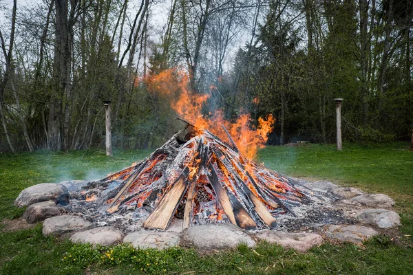 Close-up of a burning fire. Large bonfire in nature