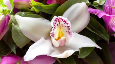 Çiçek demetinde beyaz orkide.