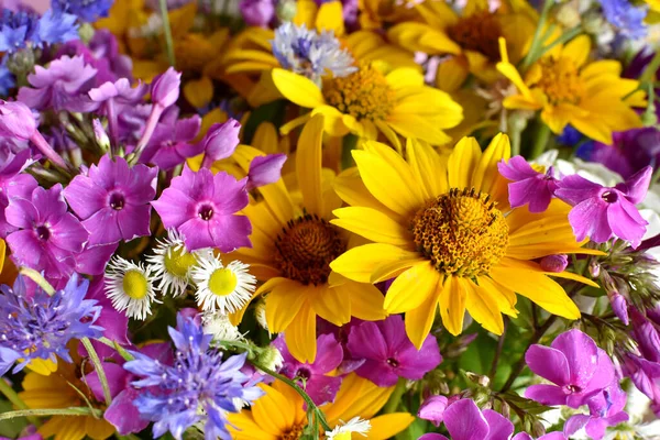 Πολύχρωμα Λουλούδια Μπουκέτο Από Αγριολούλουδα — Φωτογραφία Αρχείου
